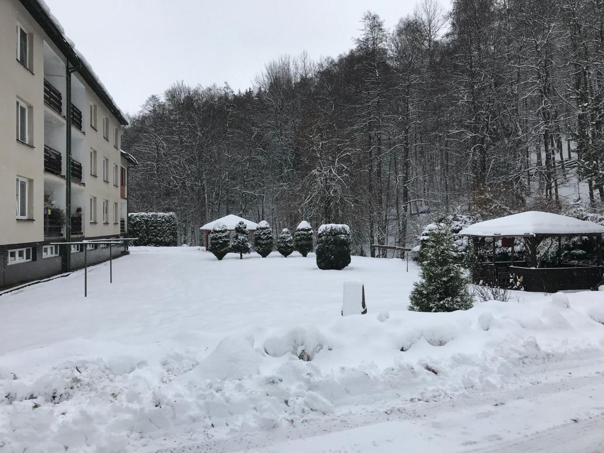 Julie 1 Apartment Svoboda nad Úpou Екстериор снимка